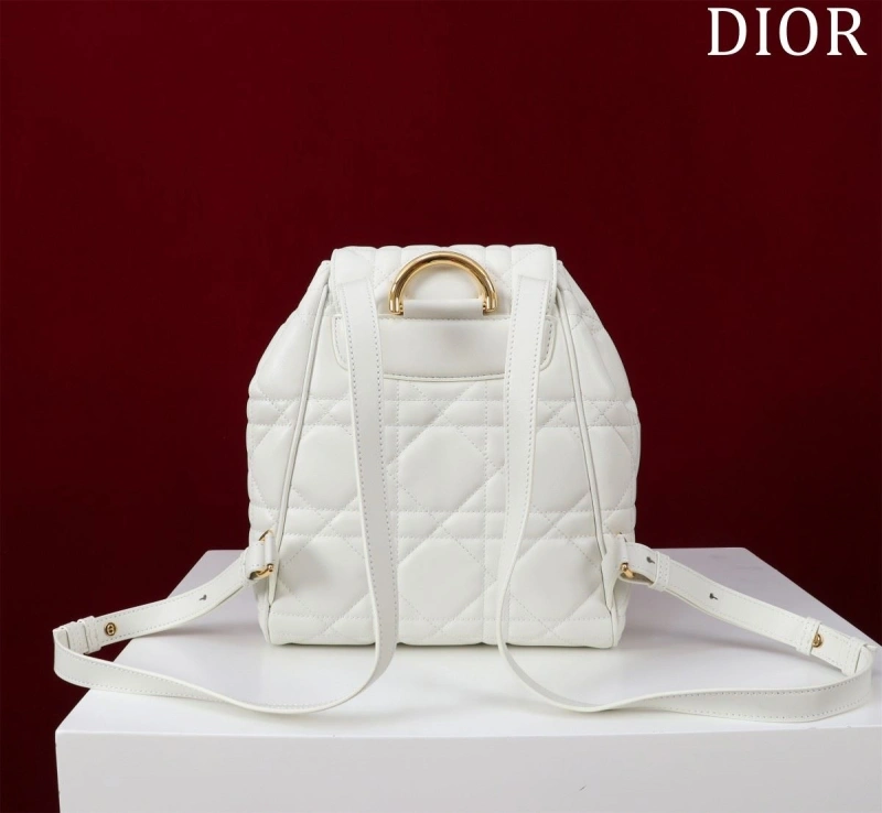 Dior Backpacks 4180F-0483