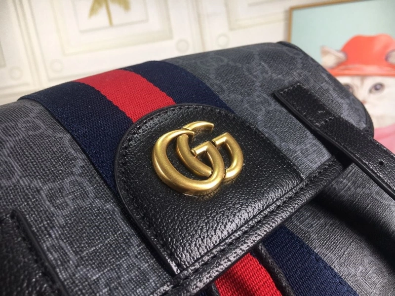 Gucci Backpacks 4186-0206