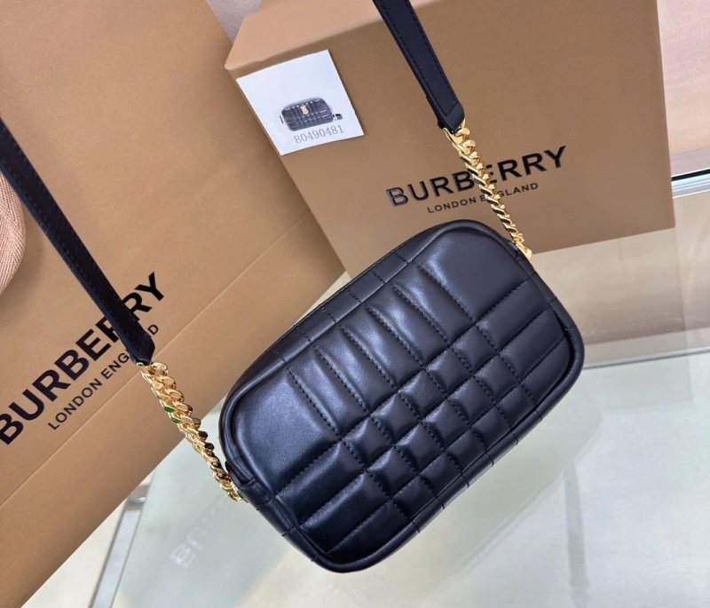 Burberry Satchel Bags 4211D-0155