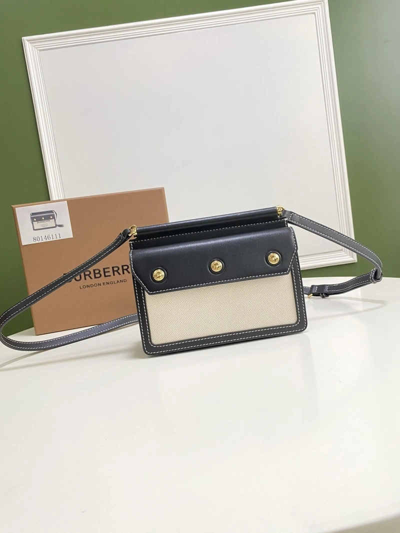 Burberry Satchel Bags 4211D-0157