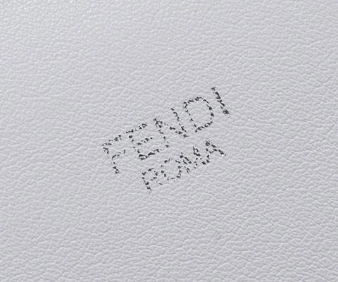 Fendi Top Handle Bags 4220-0199