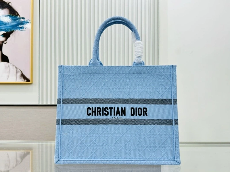 Dior Shopping Bags 4220C-0401