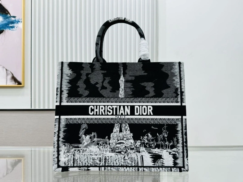 Dior Shopping Bags 4220C-0404