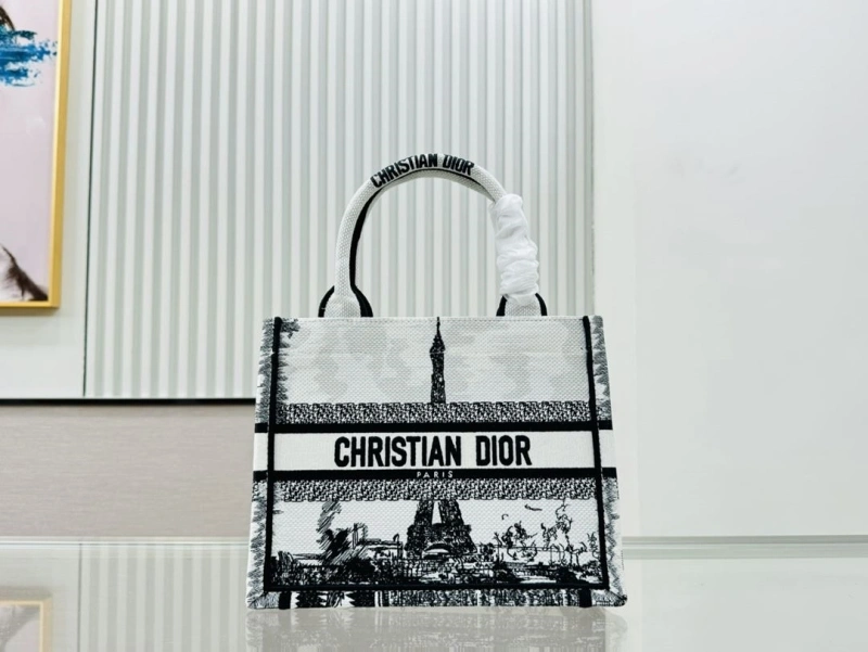 Dior Shopping Bags 4220C-0405