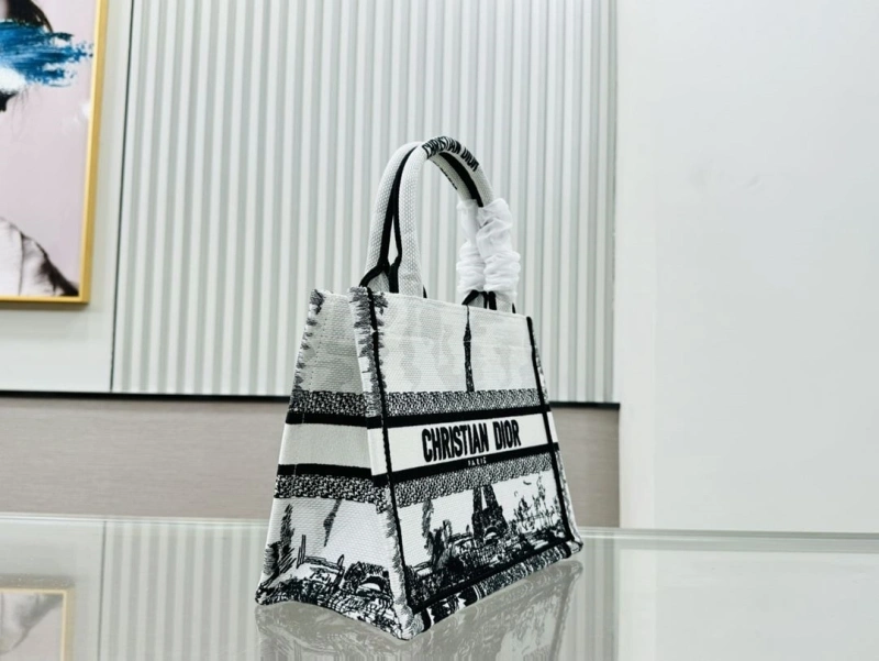 Dior Shopping Bags 4220C-0405
