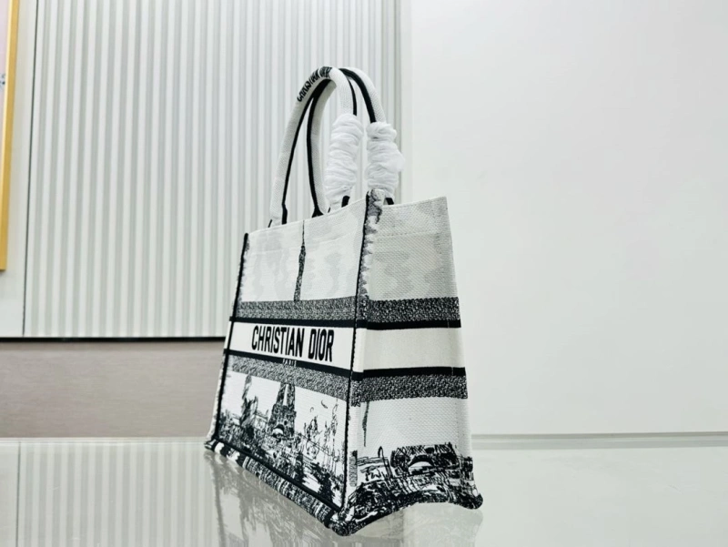 Dior Shopping Bags 4220C-0406
