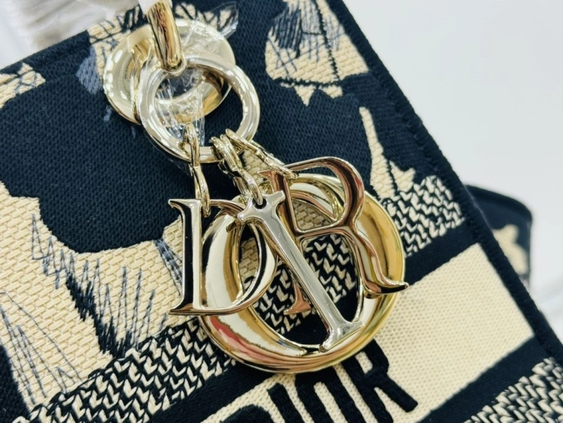 Dior Shopping Bags 4220C-0430