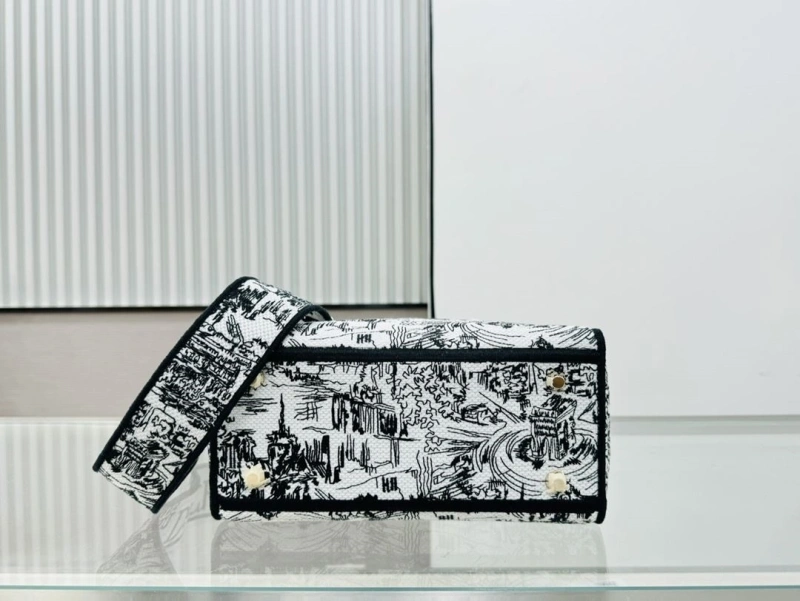 Dior Shopping Bags 4220C-0450