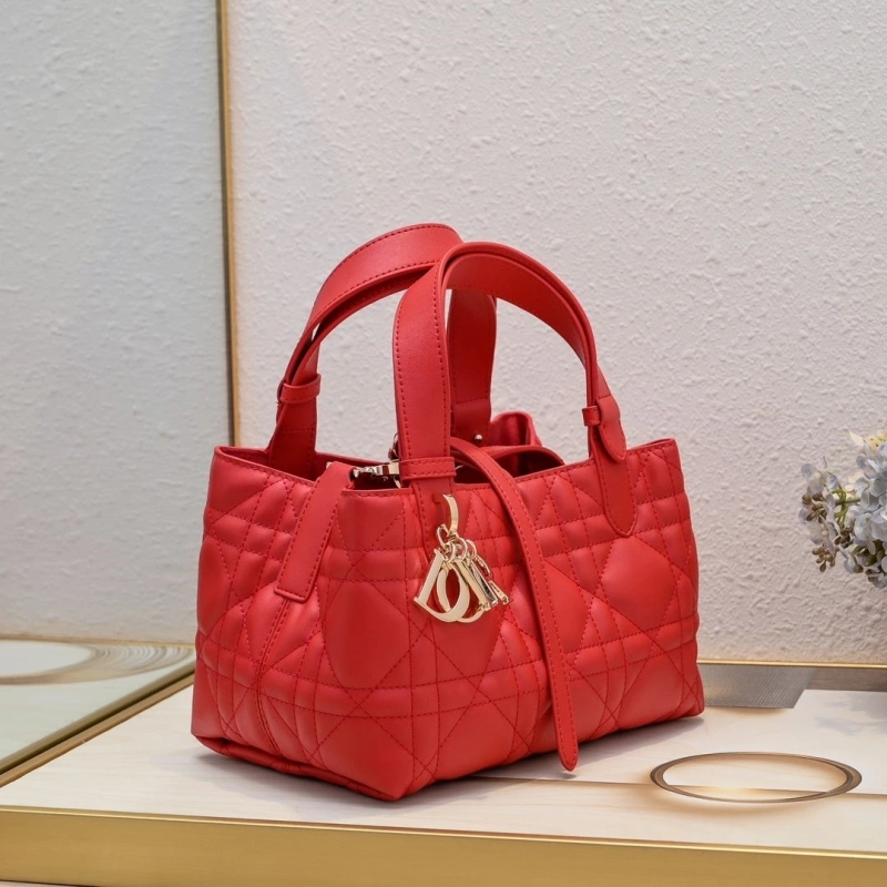 Dior Shopping Bags 4220D-0053