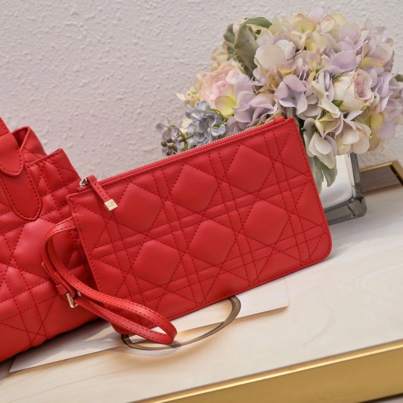 Dior Shopping Bags 4220D-0053