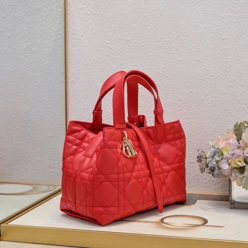 Dior Shopping Bags 4220D-0054