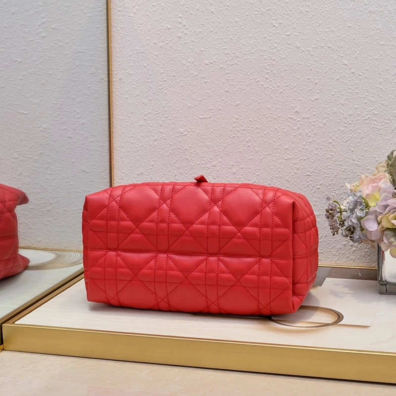 Dior Shopping Bags 4220D-0054