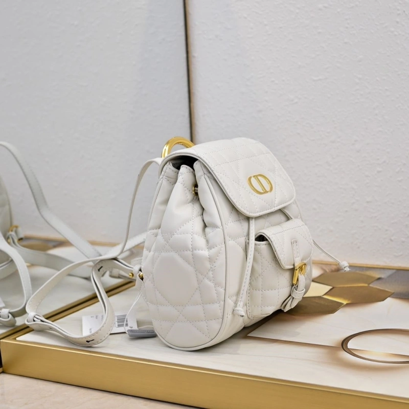 Dior Backpacks 4220D-0173