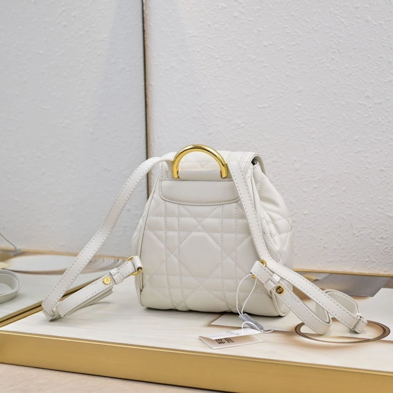 Dior Backpacks 4220D-0173