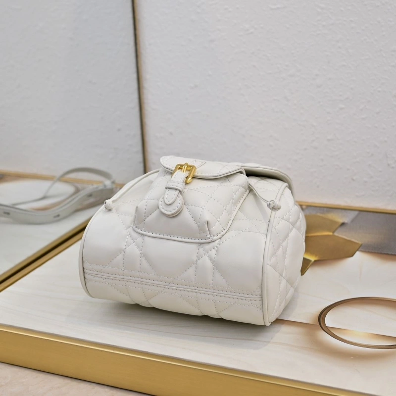 Dior Backpacks 4220D-0173