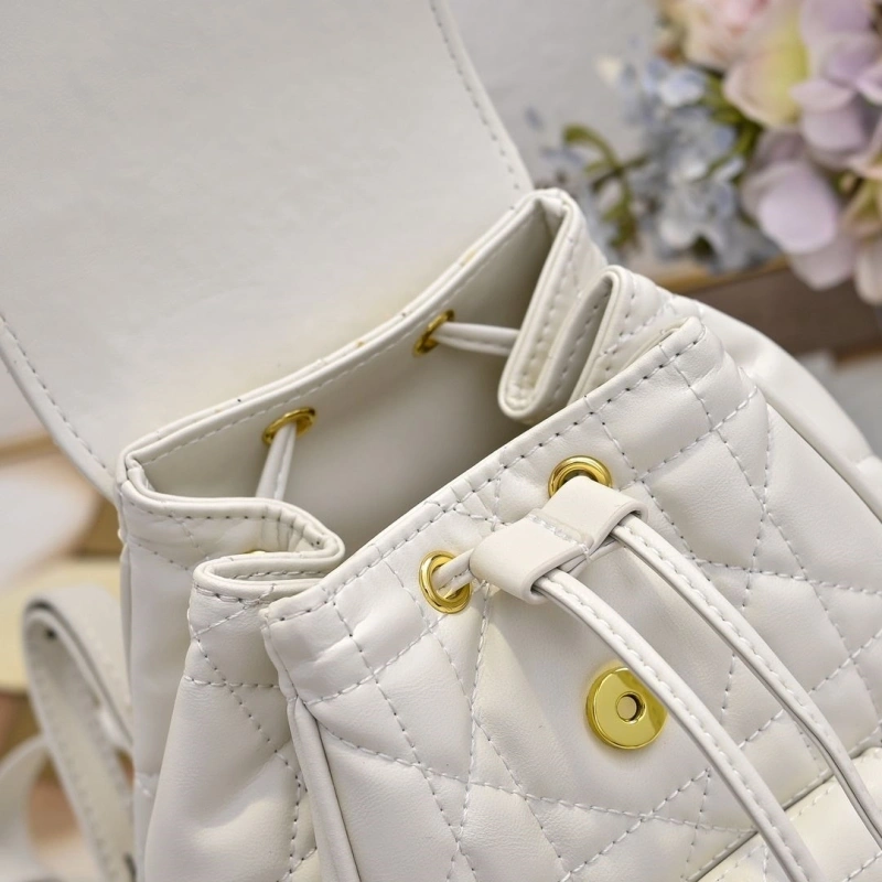 Dior Backpacks 4220D-0173