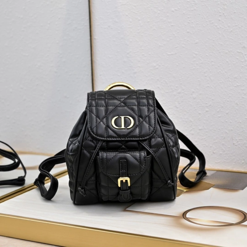 Dior Backpacks 4220D-0174