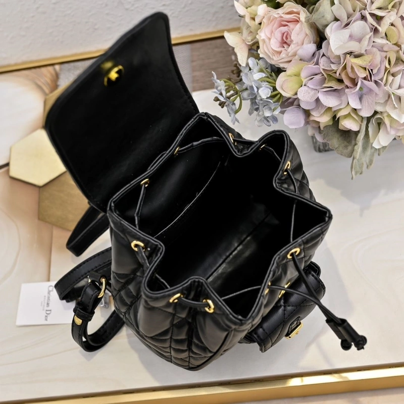 Dior Backpacks 4220D-0174