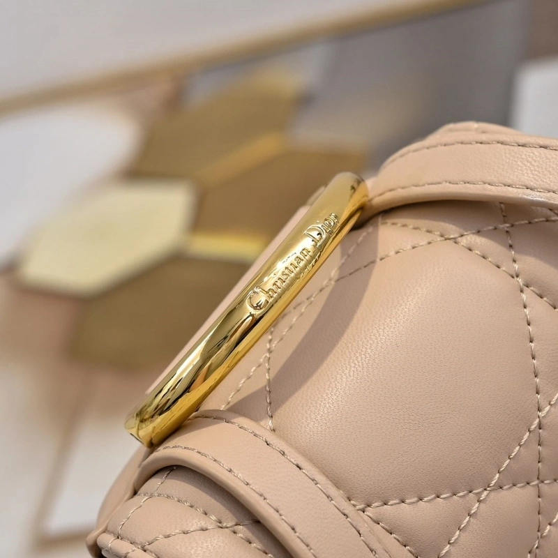 Dior Backpacks 4220D-0175