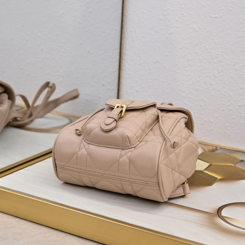 Dior Backpacks 4220D-0175