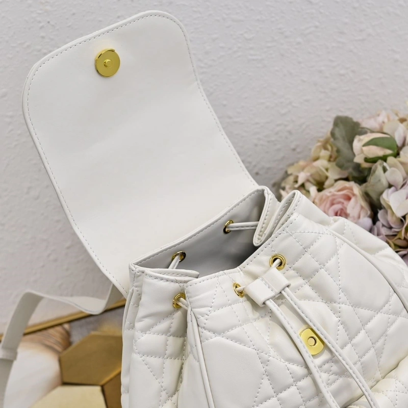 Dior Backpacks 4220D-0176