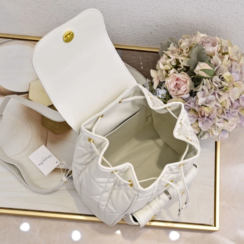 Dior Backpacks 4220D-0176