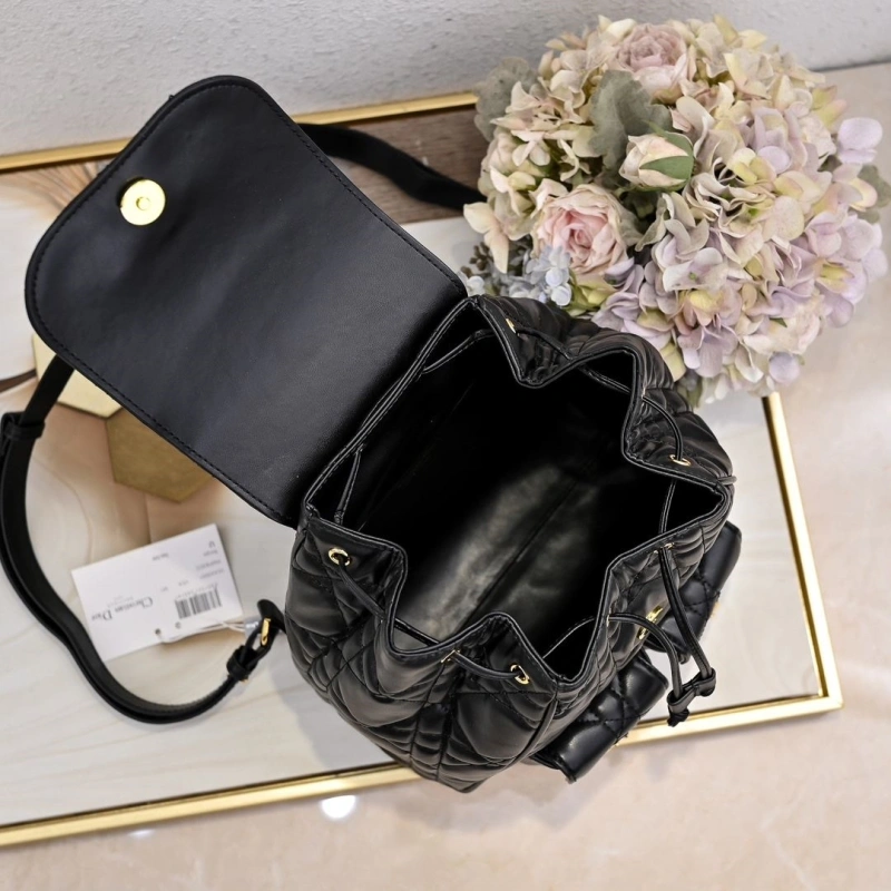 Dior Backpacks 4220D-0177