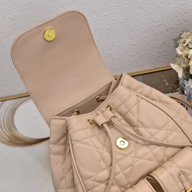 Dior Backpacks 4220D-0178