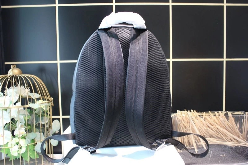 Fendi Backpacks 4222C-0581