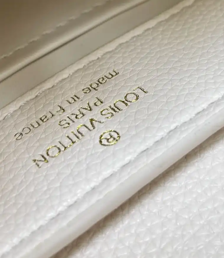 LV Capucines Bags 4224-0151