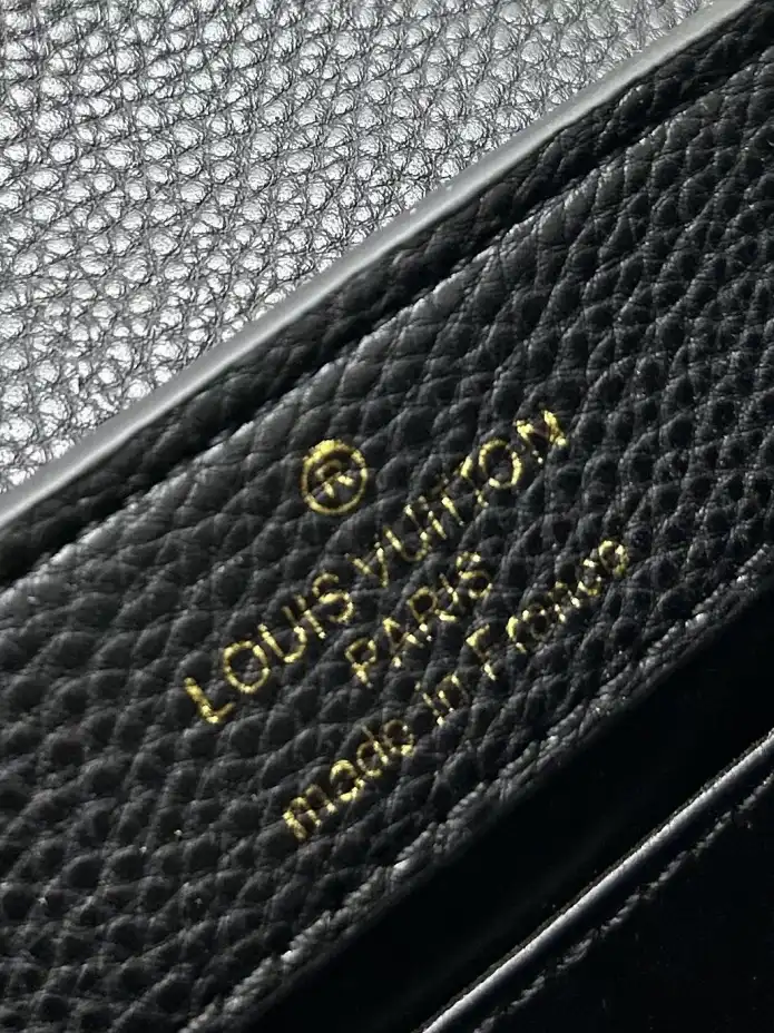 LV Capucines Bags 4224-0676