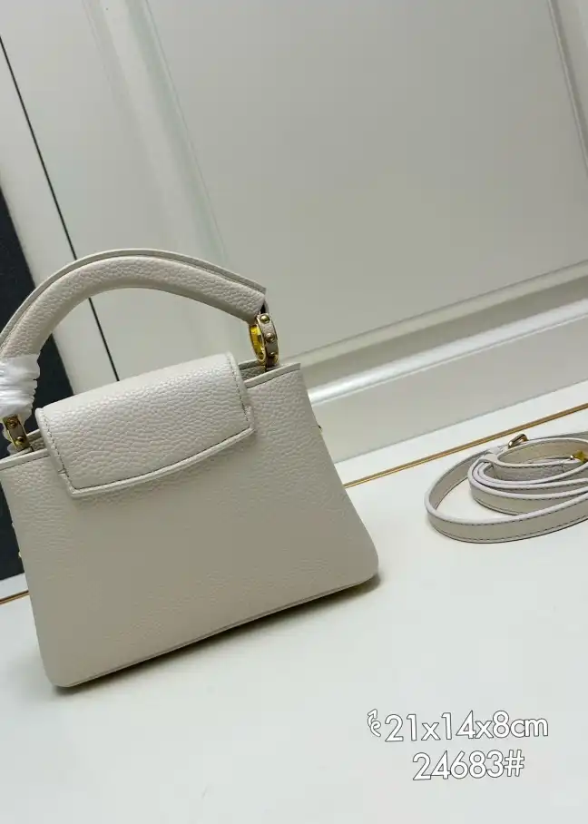 LV Capucines Bags 4224-0678