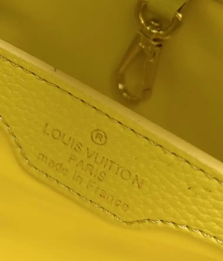 LV Capucines Bags 4224-0680