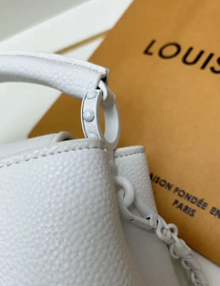 LV Capucines Bags 4224-1384