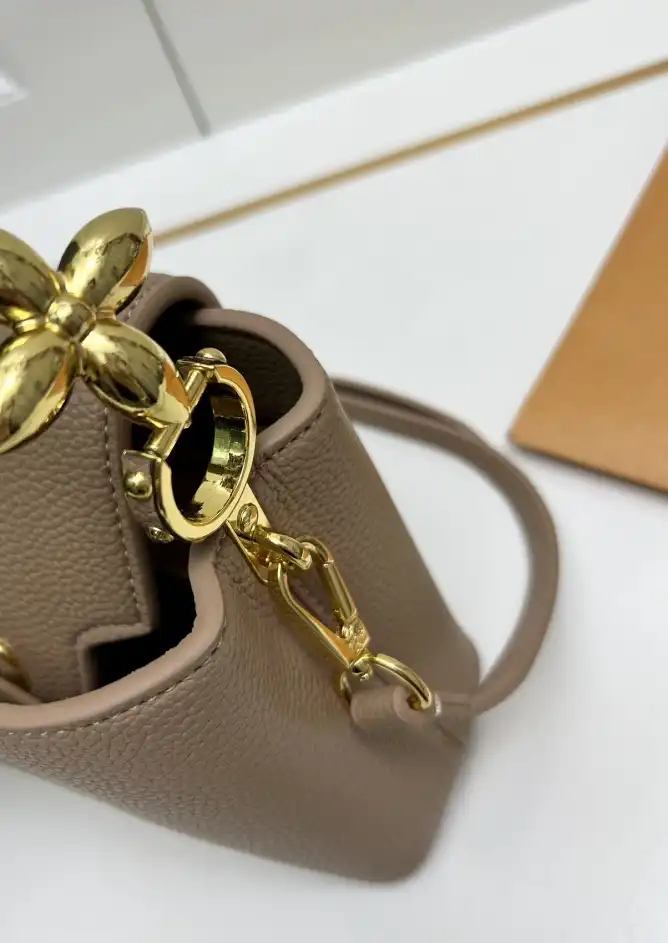 LV Capucines Bags 4224-1386