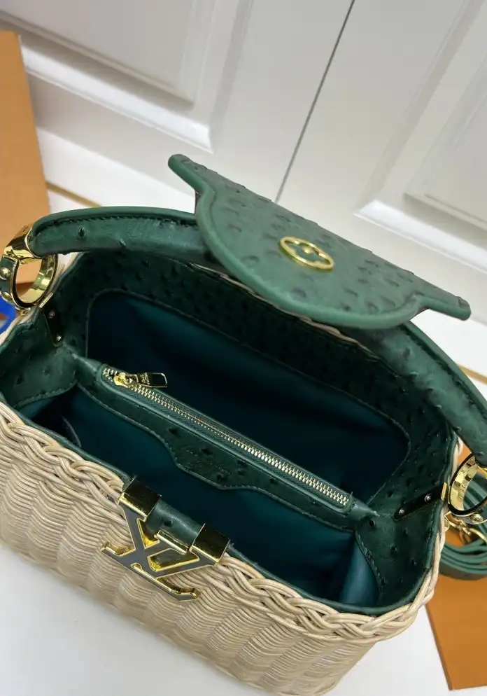 LV Capucines Bags 4224-1744