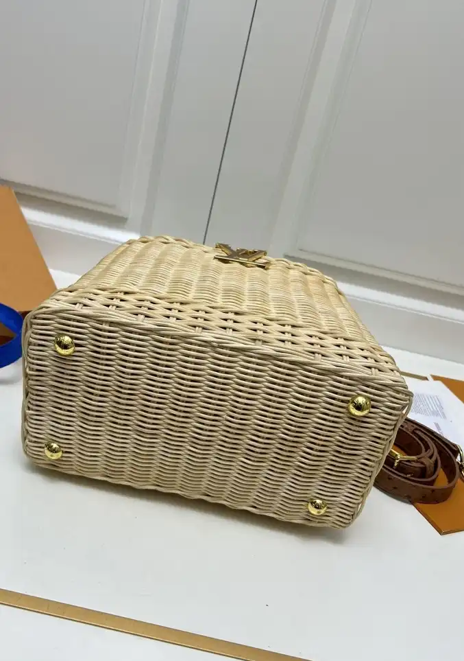 LV Capucines Bags 4224-1746