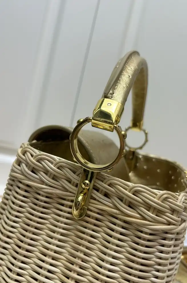 LV Capucines Bags 4224-1747