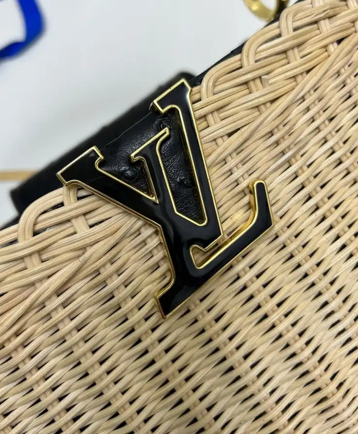 LV Capucines Bags 4224-1748