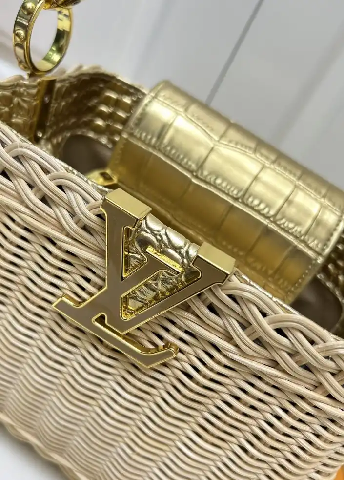 LV Capucines Bags 4224-1751