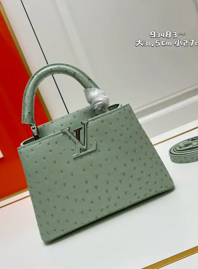 LV Capucines Bags 4224-1766
