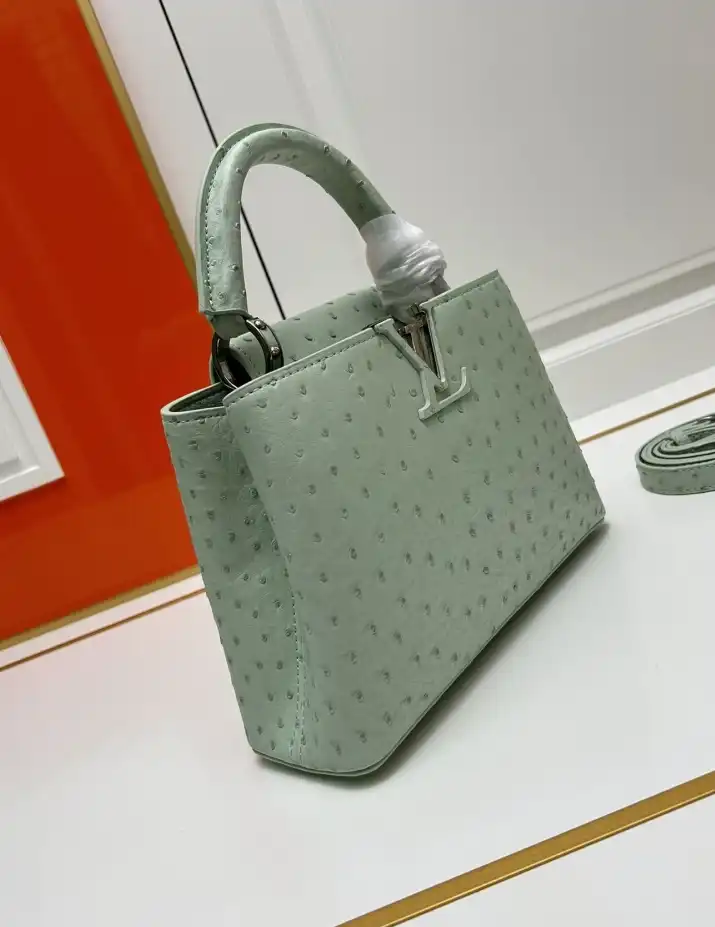 LV Capucines Bags 4224-1766