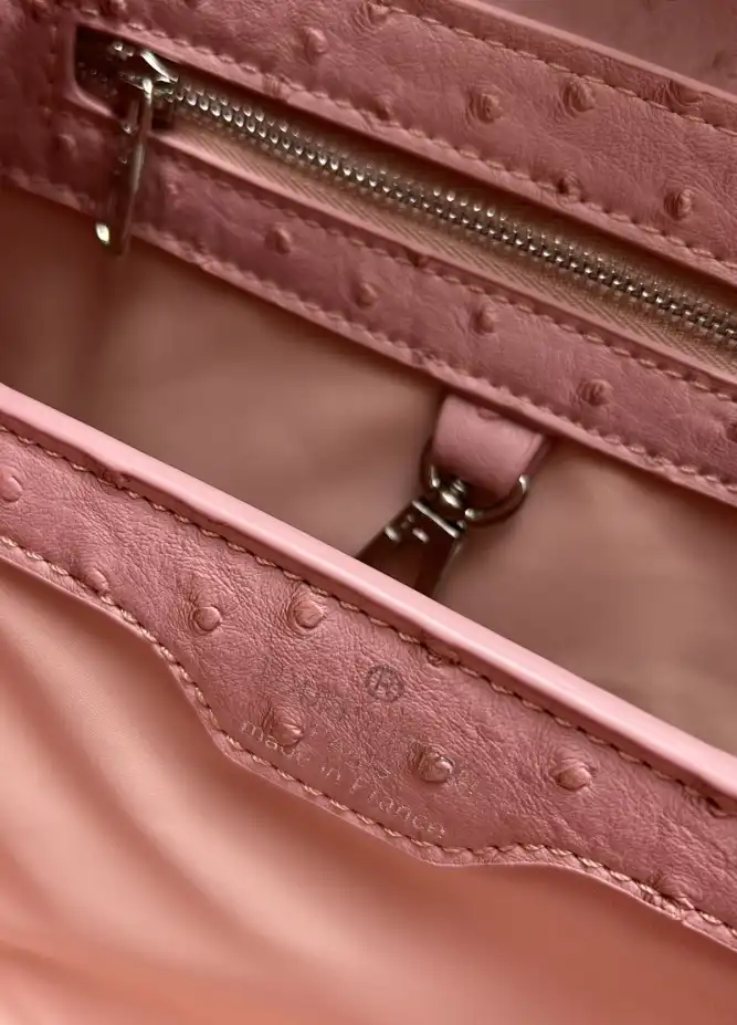 LV Capucines Bags 4224-1769