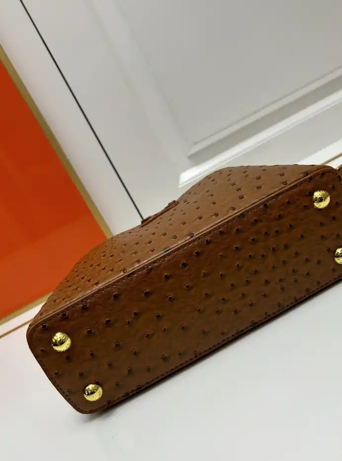 LV Capucines Bags 4224-1770