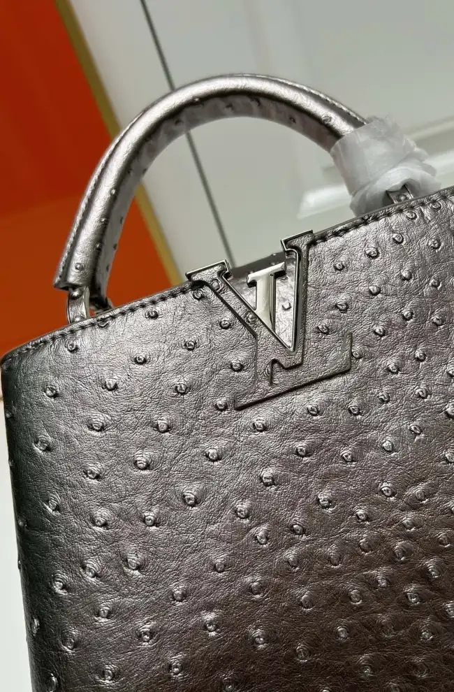 LV Capucines Bags 4224-1773