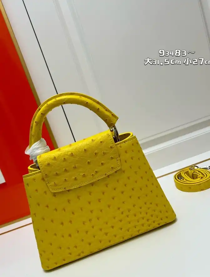 LV Capucines Bags 4224-1774