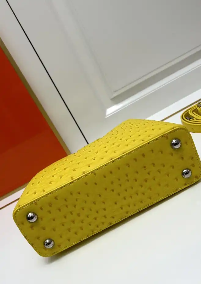 LV Capucines Bags 4224-1774