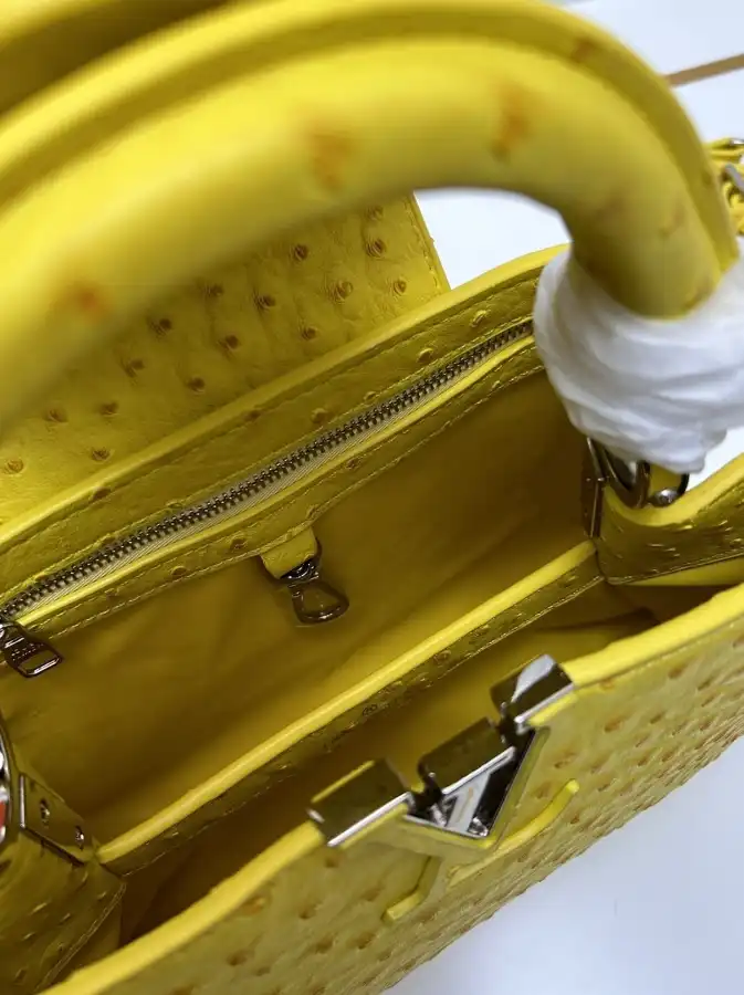 LV Capucines Bags 4224-1774