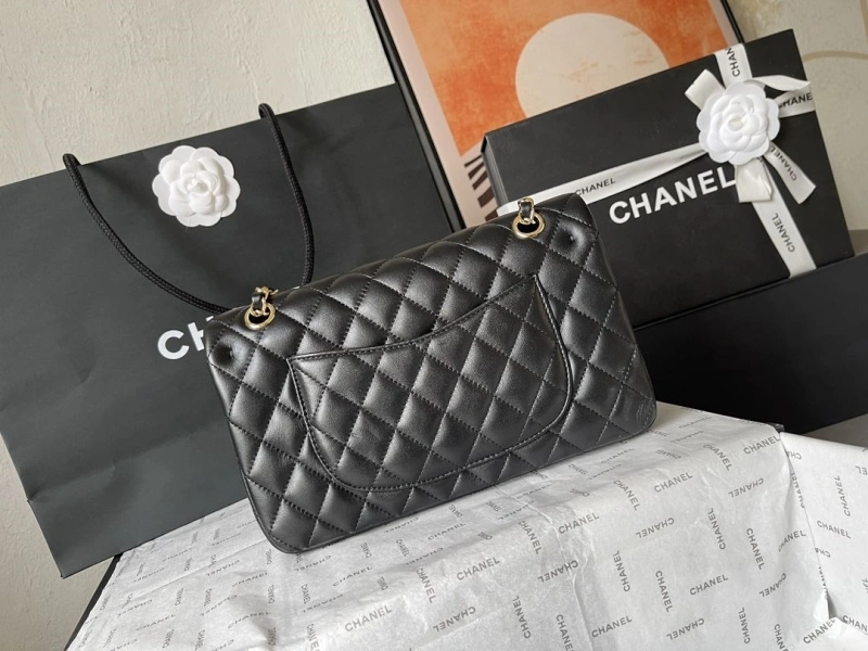 Chanel CF Series Bags 4224-1893