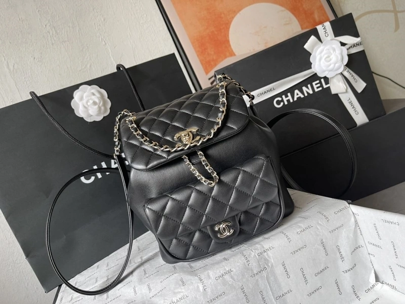 Chanel Backpacks 4224-1894